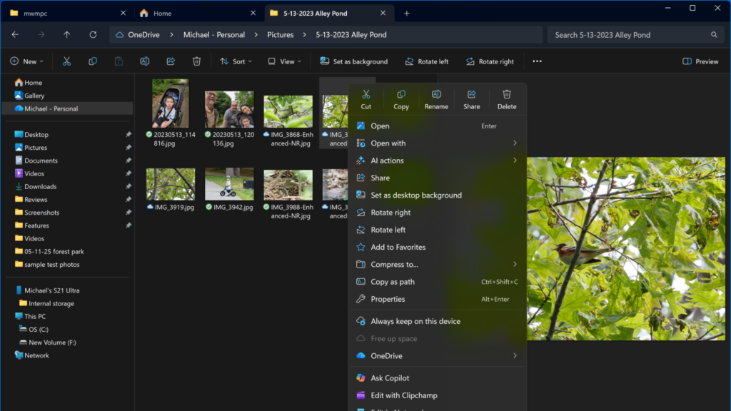 Get the Most Out of the Updated File Explorer